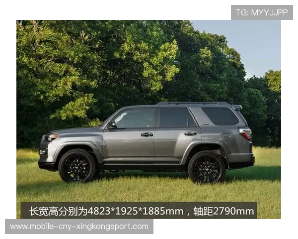 布拉格斯拉维亚蓄势待发引入东欧硬派后卫打造铁血防线 布拉格斯拉维亚蓄势待发引入东欧硬派后卫打造铁血防线