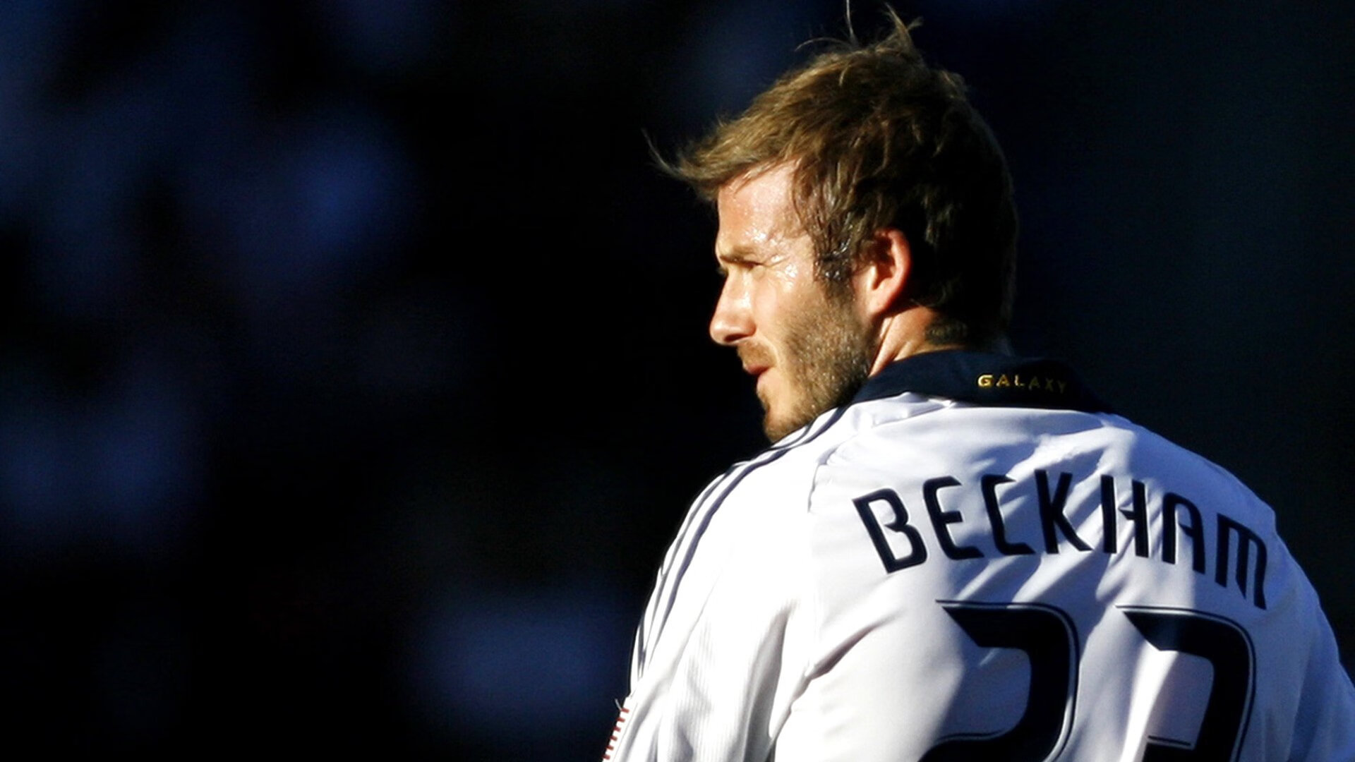 体育产业年度发展报告