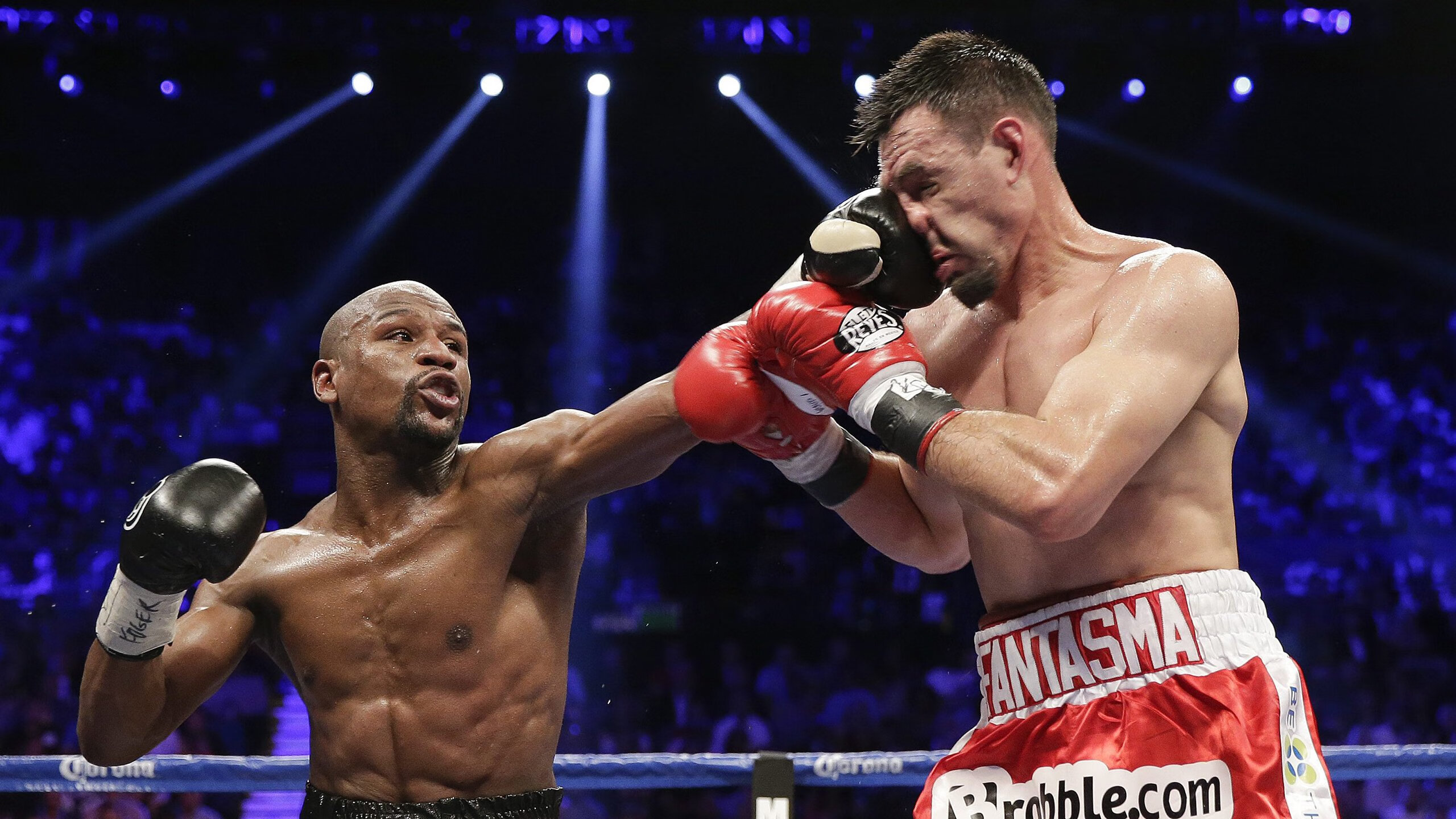 体育赛事观众统计报告