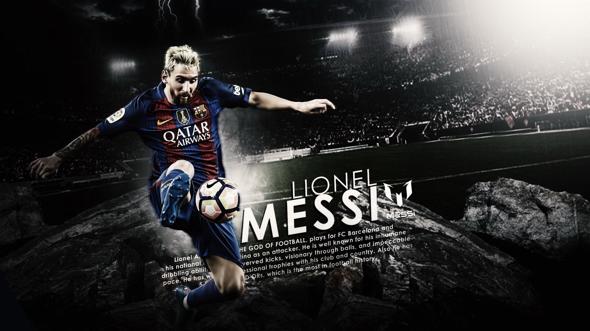 体育赛事观众统计报告